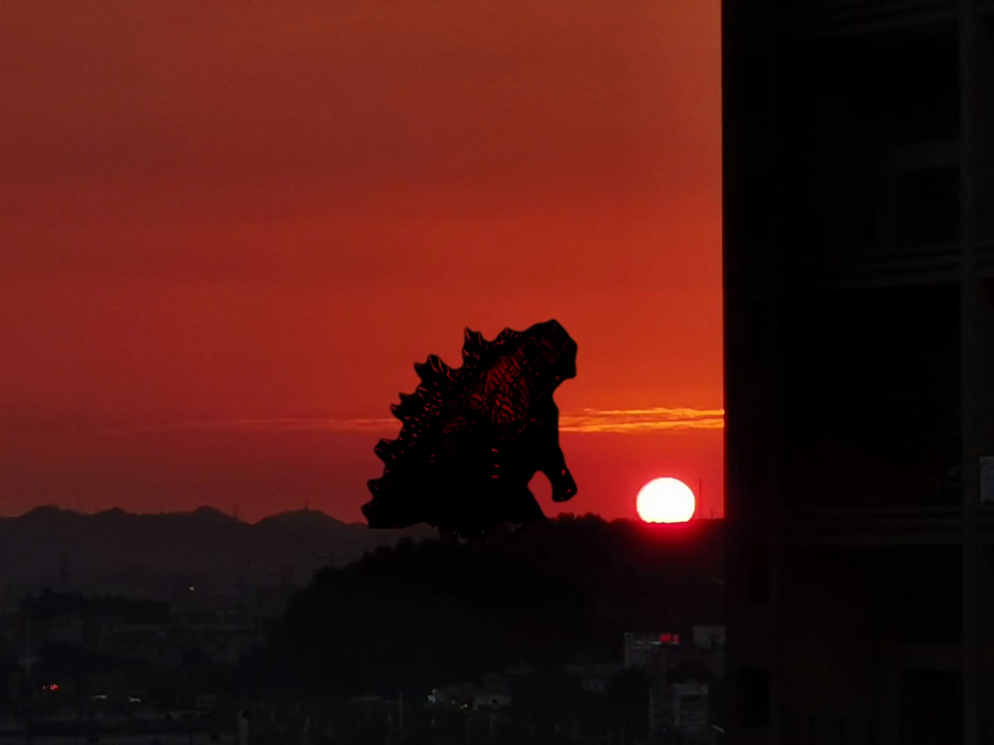哥斯拉# #怪兽# 昨天下午拍的夕阳照