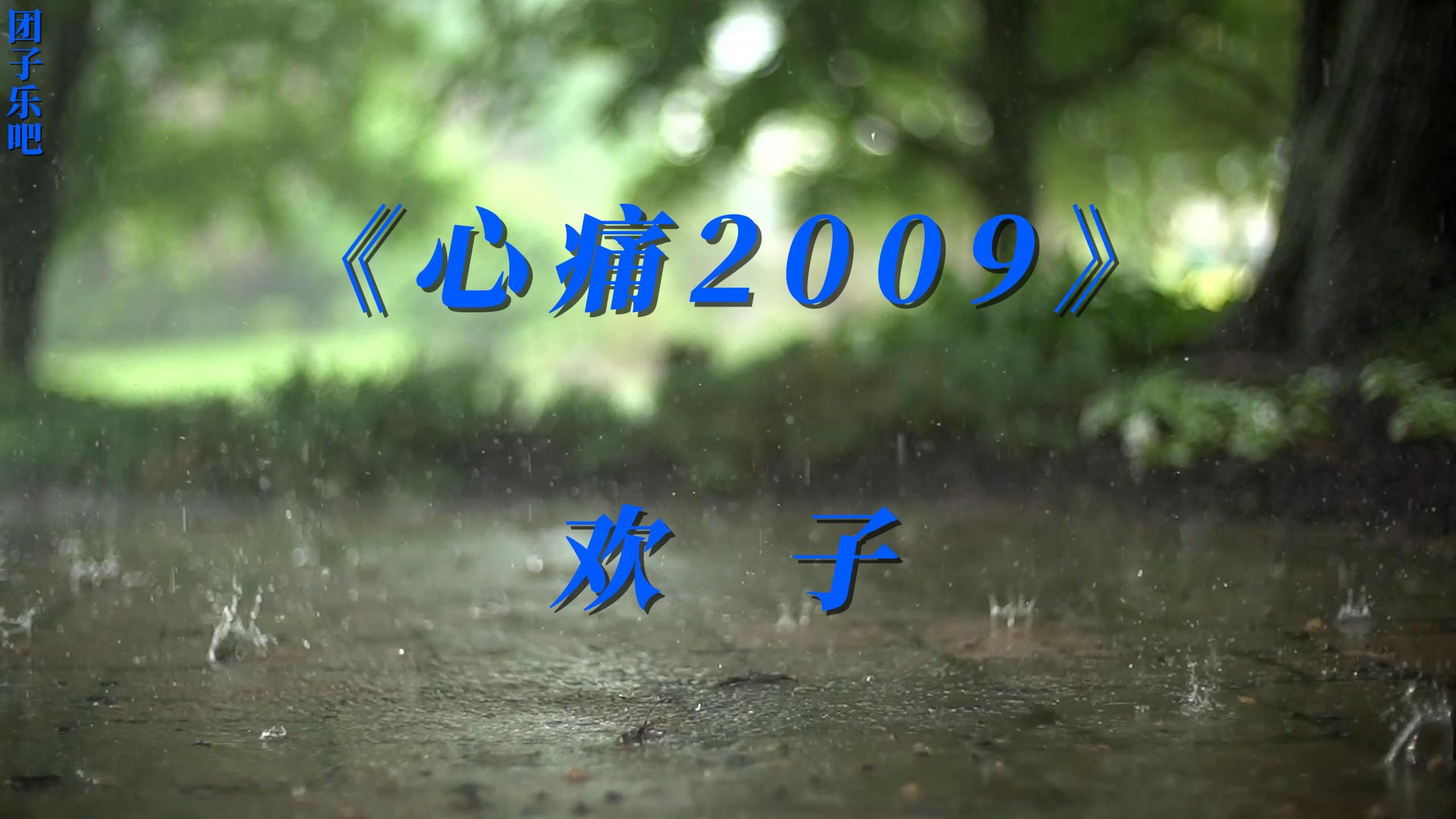 《心痛2009》欢子哔哩哔哩bilibili