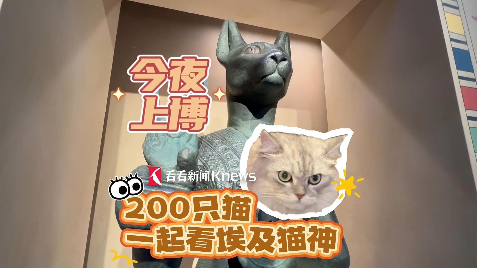 [图]今夜上博 200只猫一起看埃及猫神