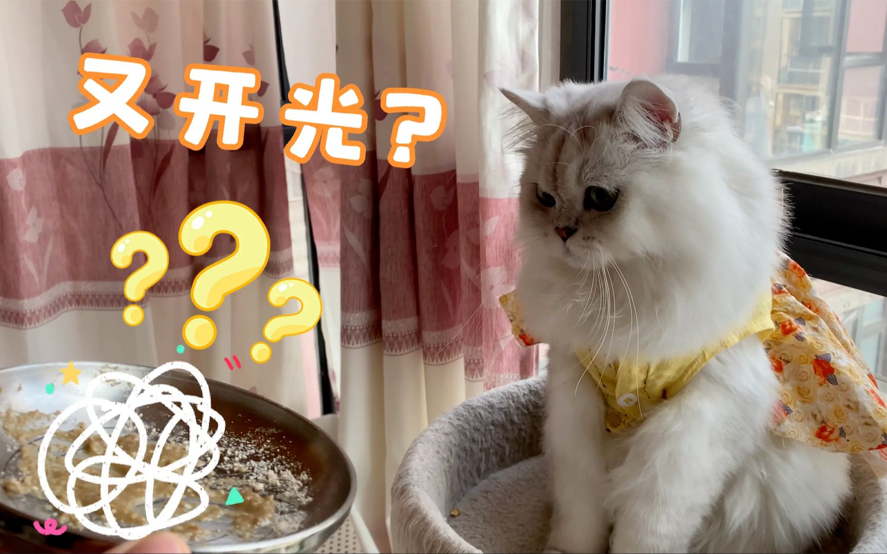 【口臭猫番外】小猫咪的口臭你闻过没?哔哩哔哩bilibili