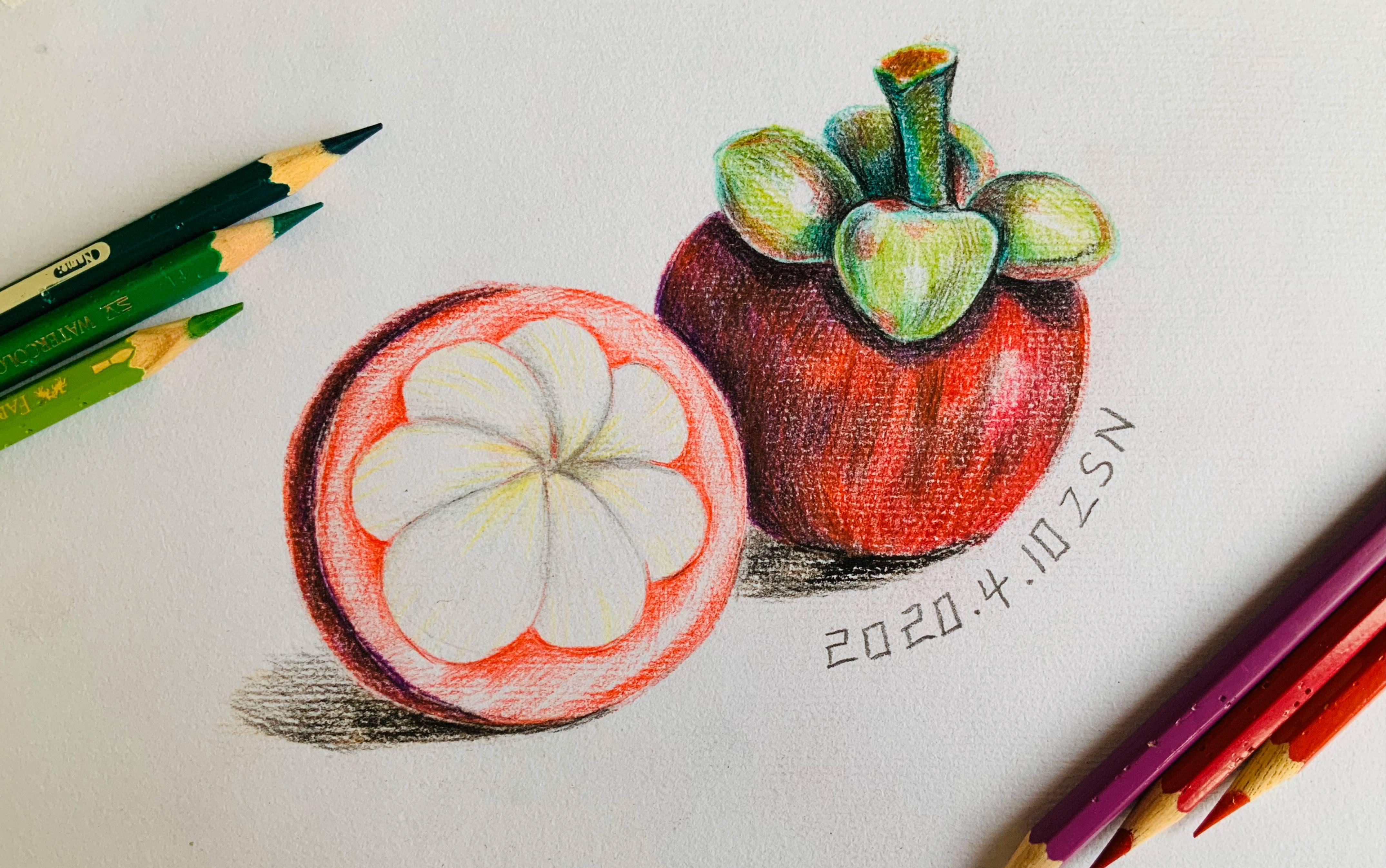 彩铅山竹绘画教程