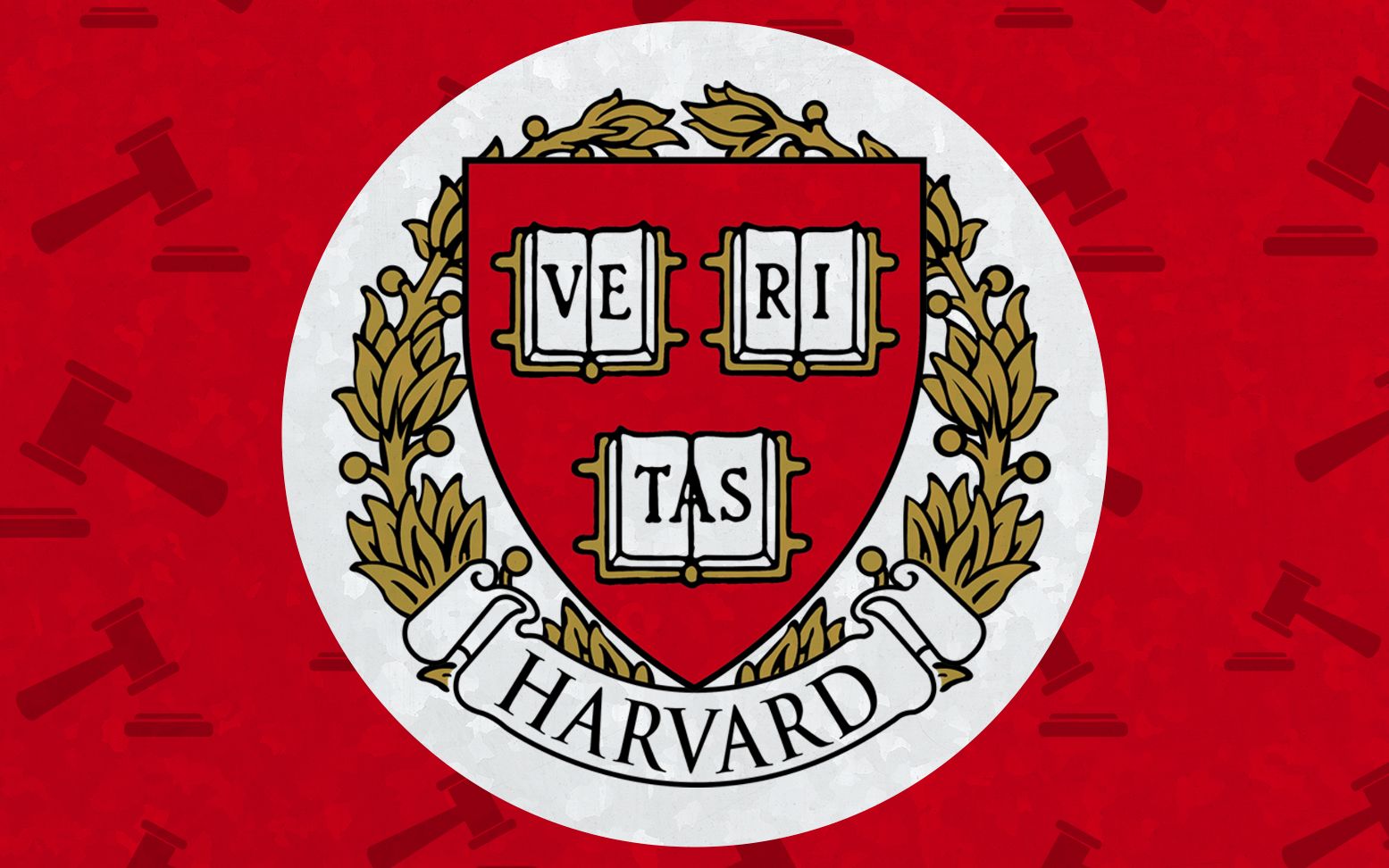 【校园生活 | Harvard】中字 | 哈佛大学学生的一天哔哩哔哩bilibili