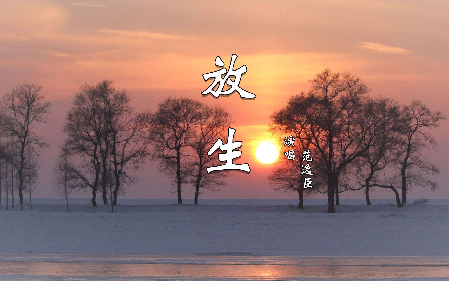 活动作品怀旧经典范逸臣放生