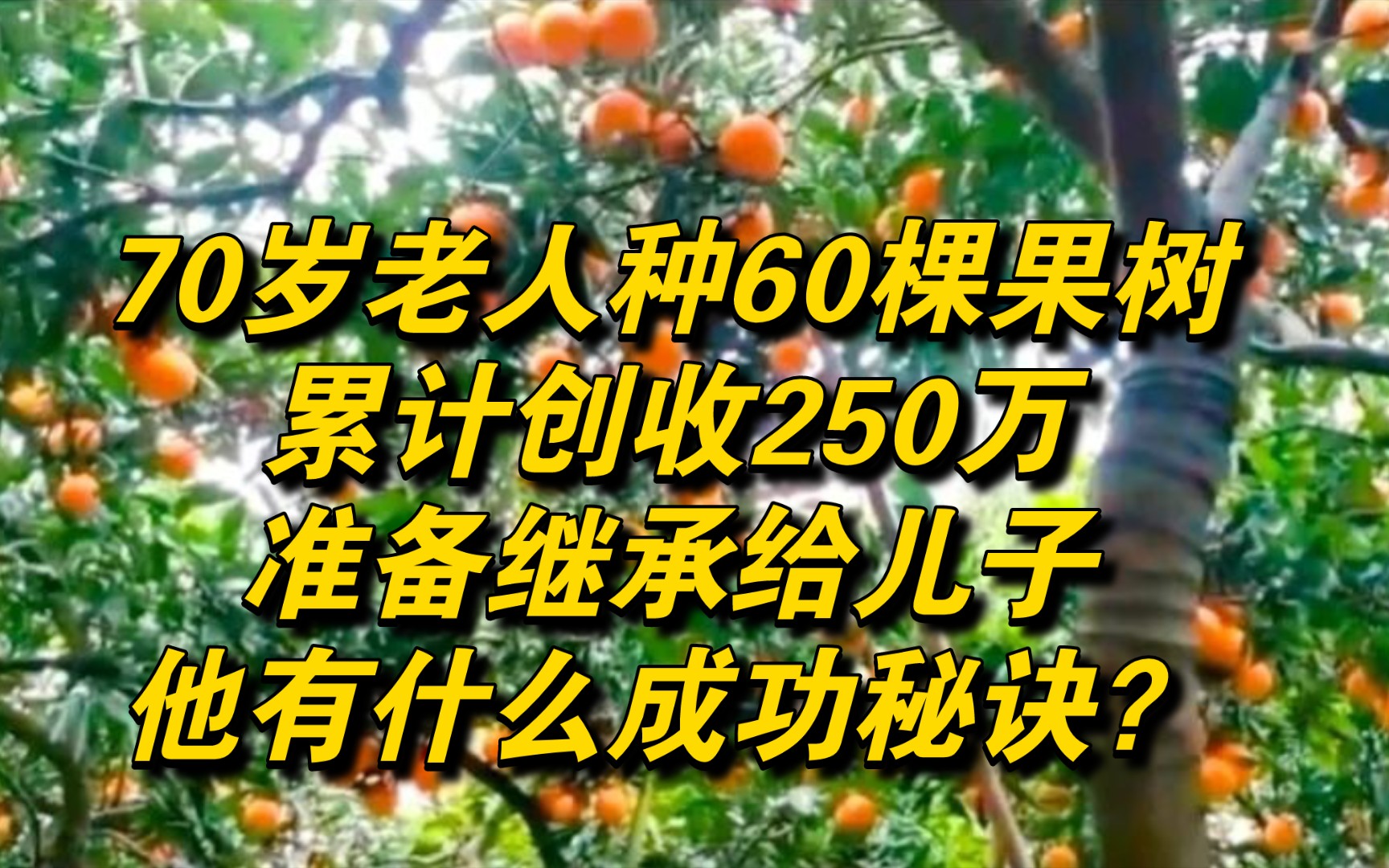 70岁老人种60棵果树,累计创收250万,准备继承给儿子,他有什么成功秘诀?哔哩哔哩bilibili