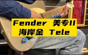 Download Video: 不说话,只试听.Fender 美专II 限量海岸金