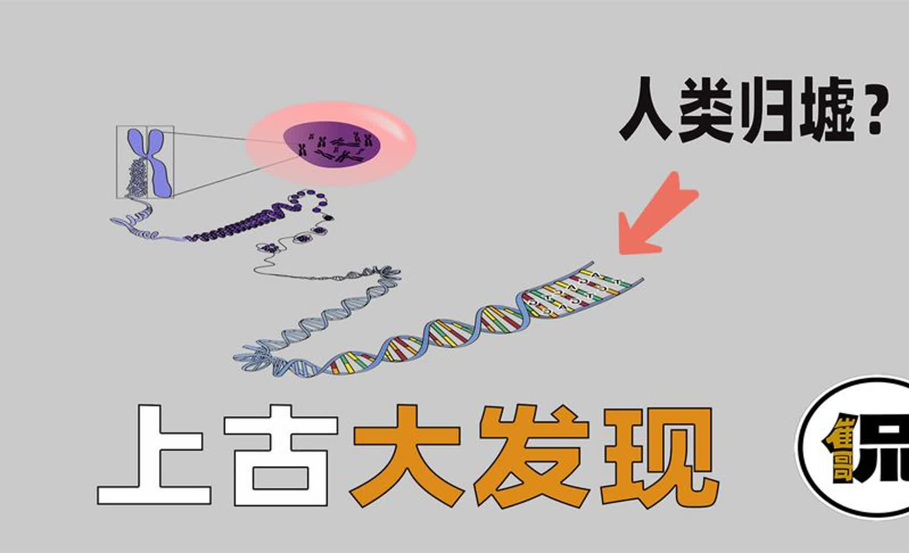 3000年前华夏人的重大发现?为什么中国是世界中心?真相或被篡改真相内幕哔哩哔哩bilibili