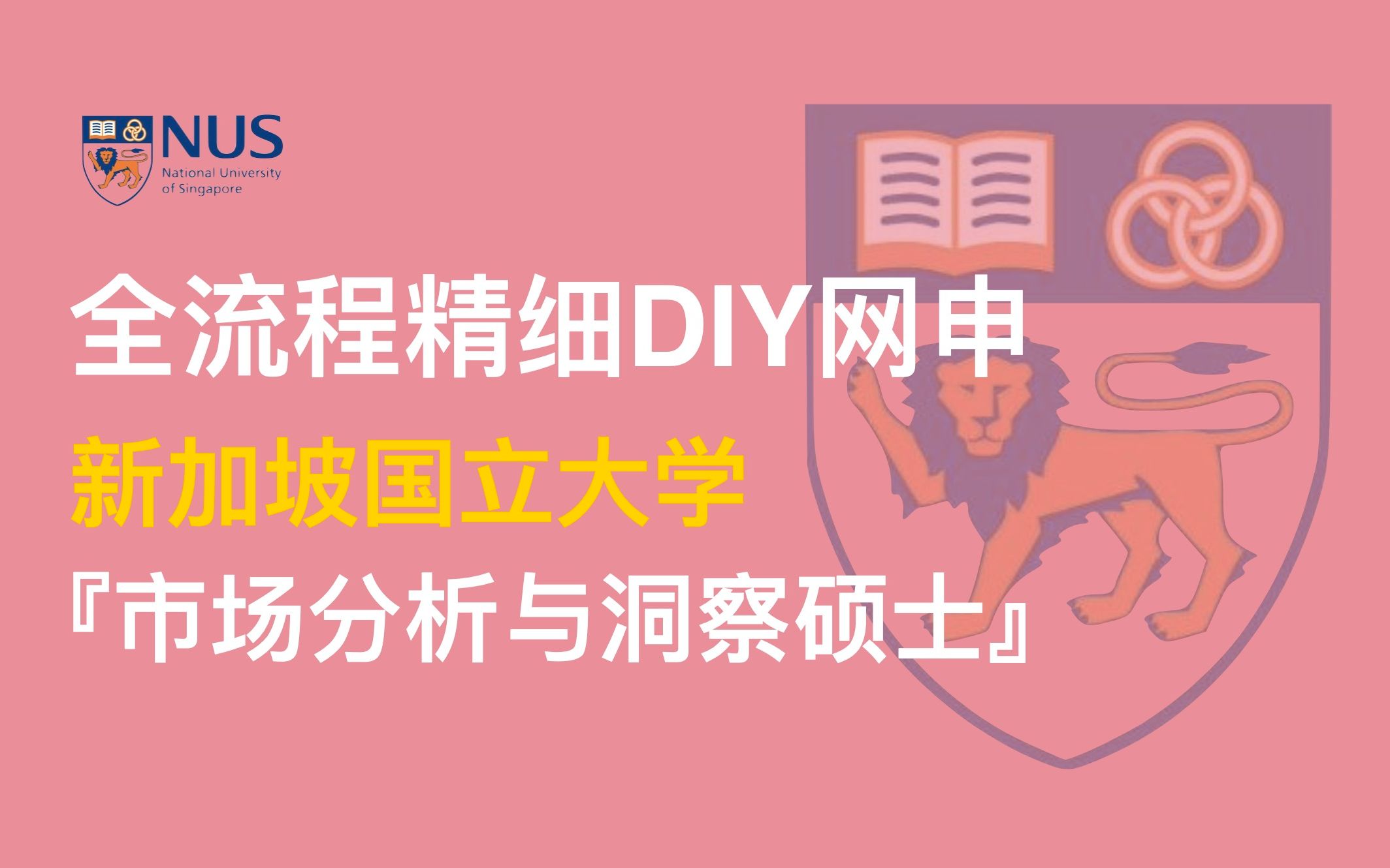 「全网最精细DIY网申教程!」新加坡国立大学市场分析与洞察,手把手教你成留学中介!哔哩哔哩bilibili