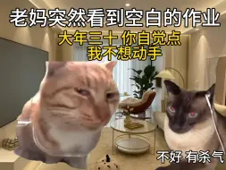 Download Video: 大年三十的猫咪