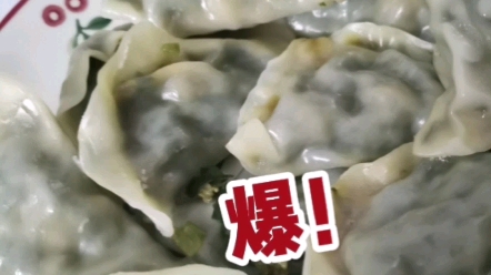 韭菜肉馅的饺子哔哩哔哩bilibili