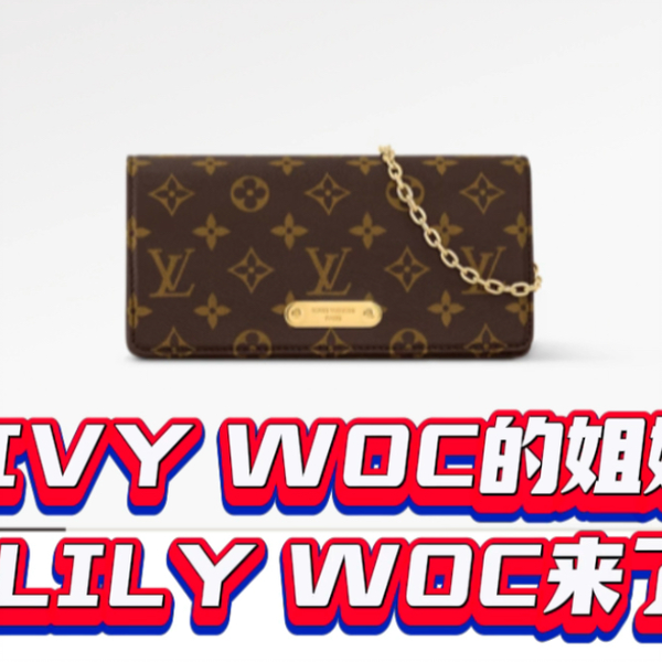 BNIB Louis Vuitton Lily WOC