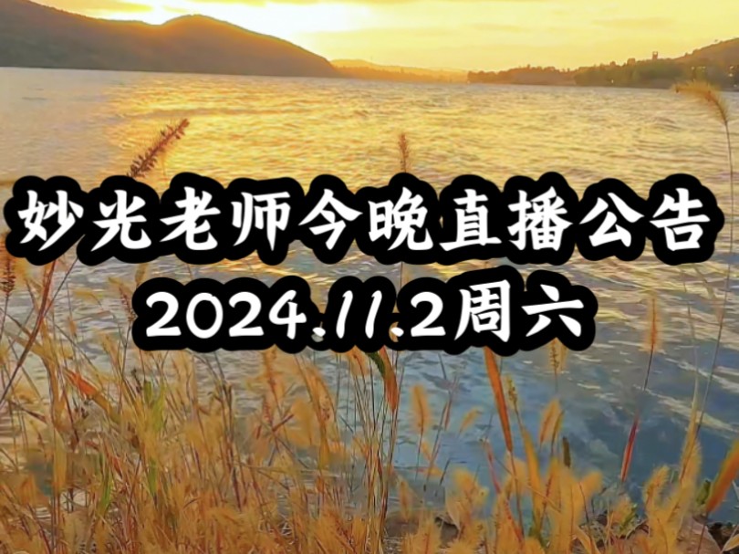 妙光老师今晚直播公告2024.11.2哔哩哔哩bilibili