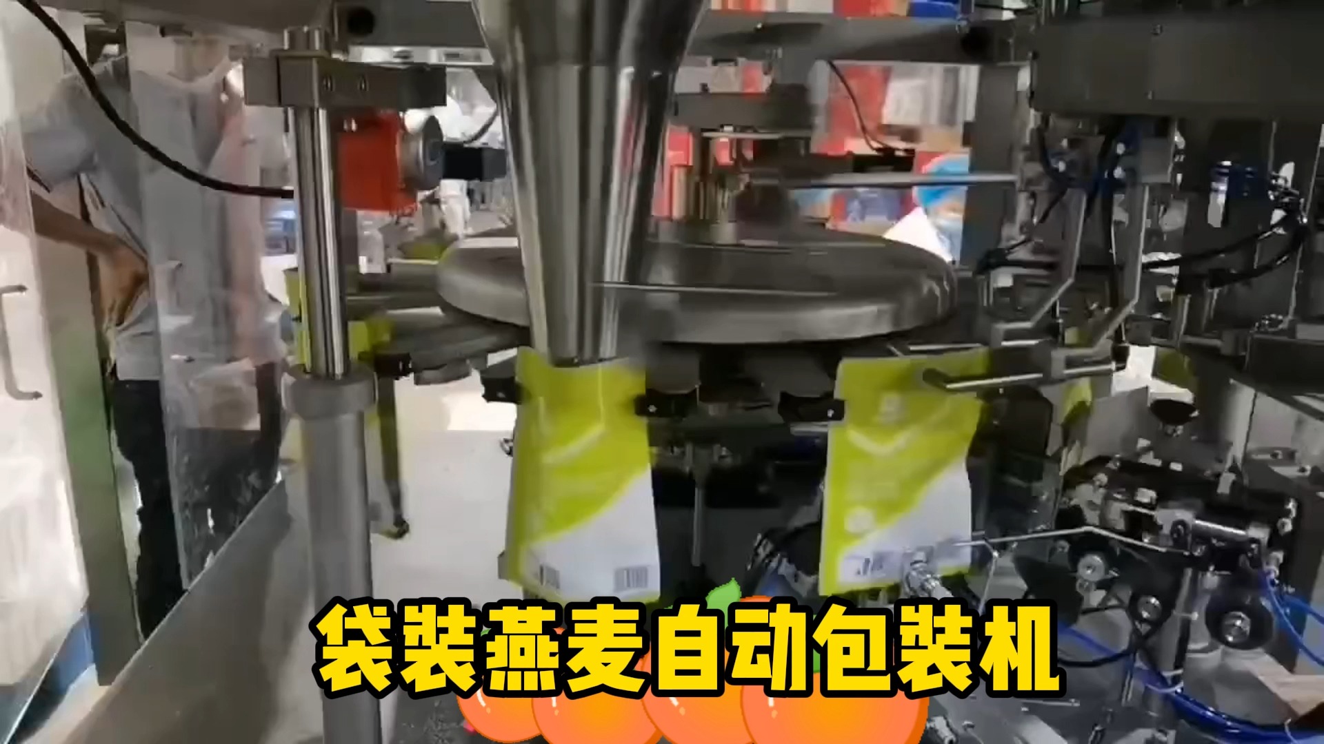 袋装燕麦包装机 全自动给袋式颗粒包装机 粉末定量称重包装机 五谷