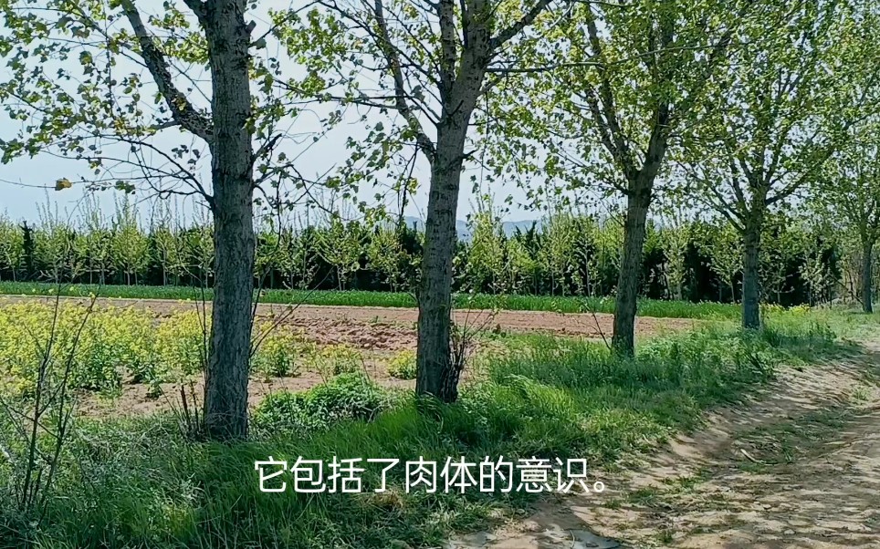 唐望:关于三种注意力哔哩哔哩bilibili