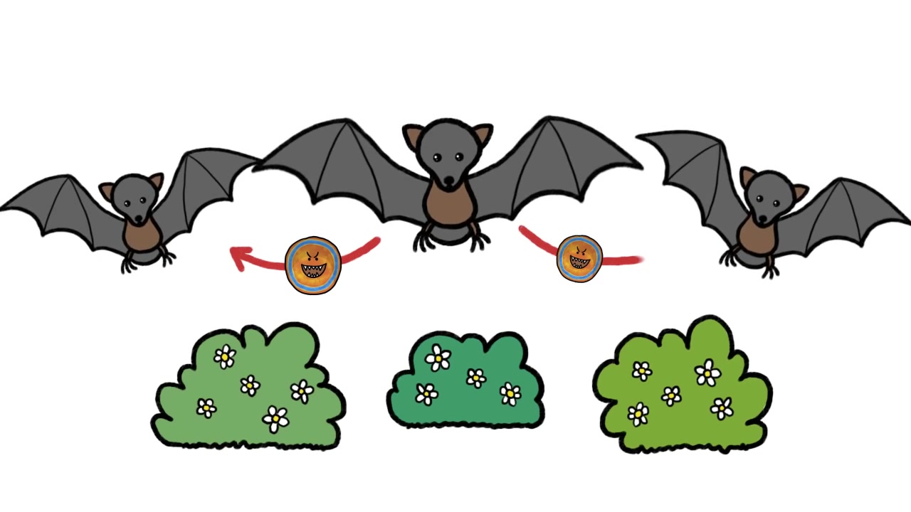 [图]【生肉】为何蝙蝠携带那么多病毒，如埃博拉？Why do Bats Transmit so many Diseases like Ebola