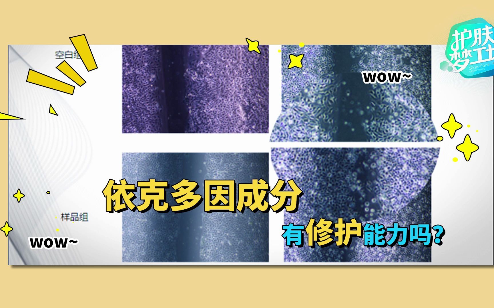 【护肤梦工场】修护界的“新星”依克多因,真实实力如何?哔哩哔哩bilibili