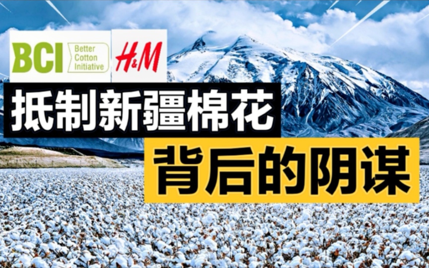 玩阴的西方抵制新疆棉花背后的阴谋