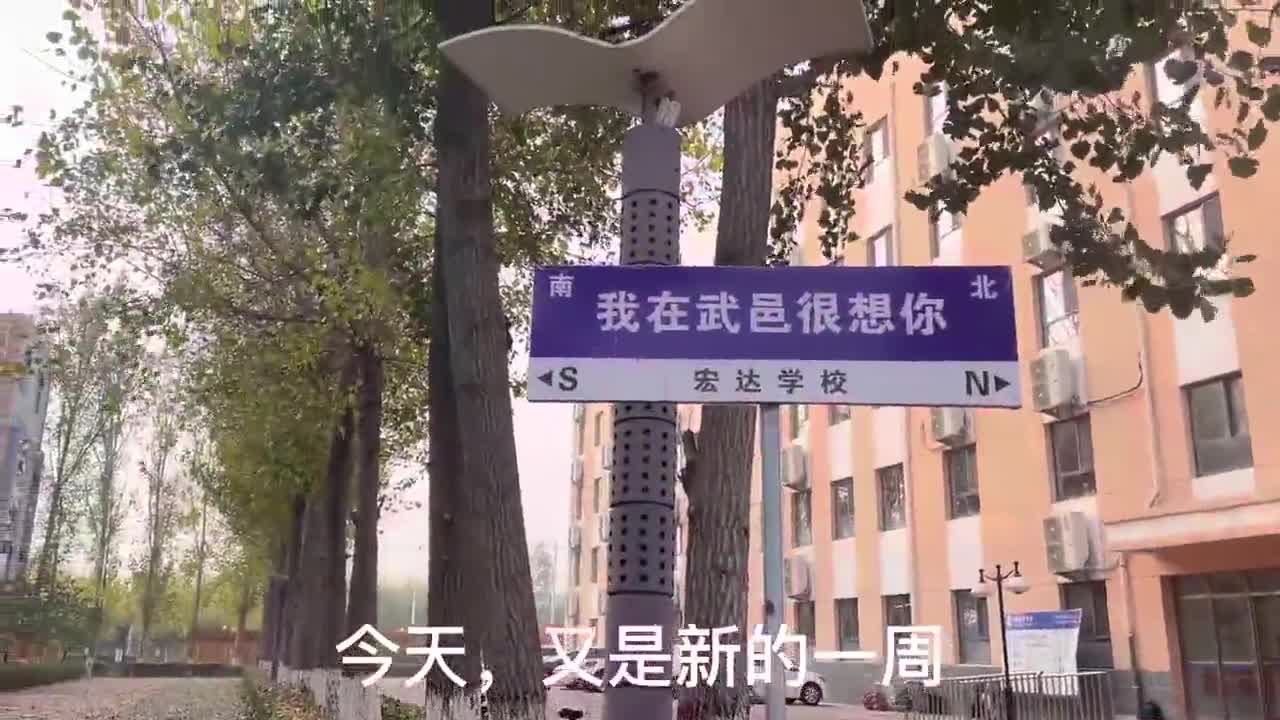 有一种幸福,叫做在武邑宏达上学!哔哩哔哩bilibili