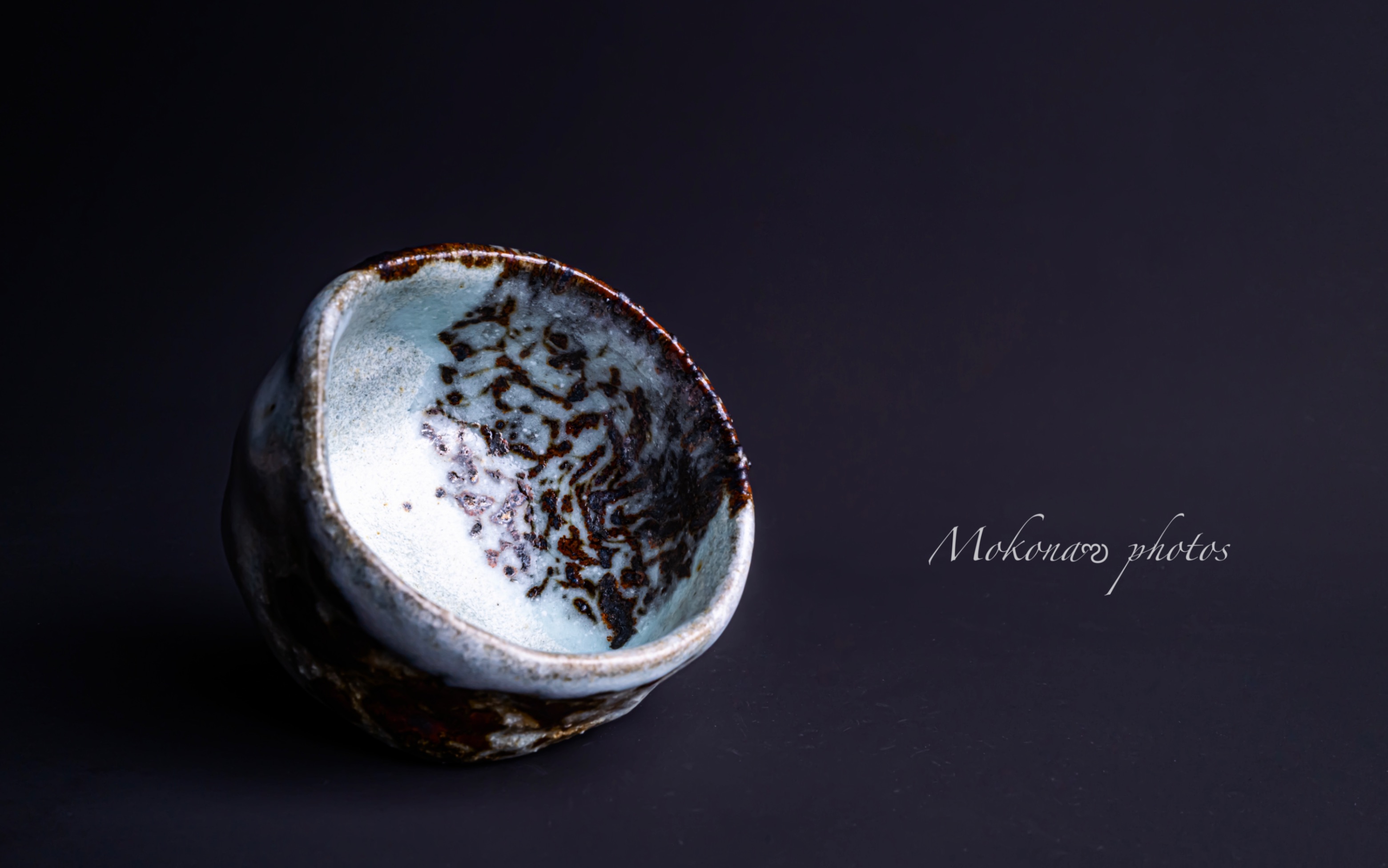 日本天目釉 【清水保孝】 龟游纹铁绘