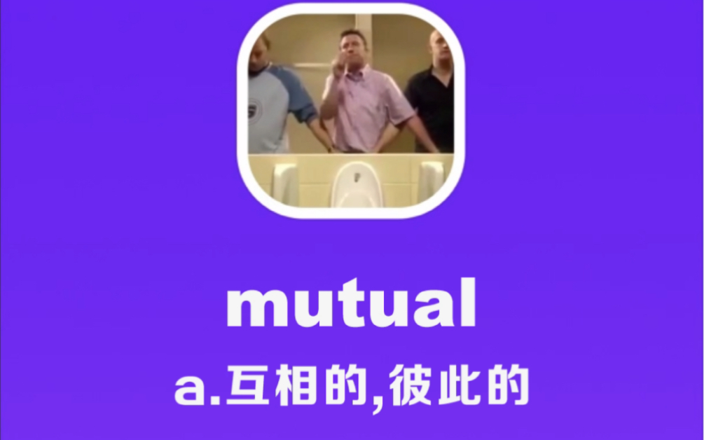 mutual:互相的,彼此的哔哩哔哩bilibili