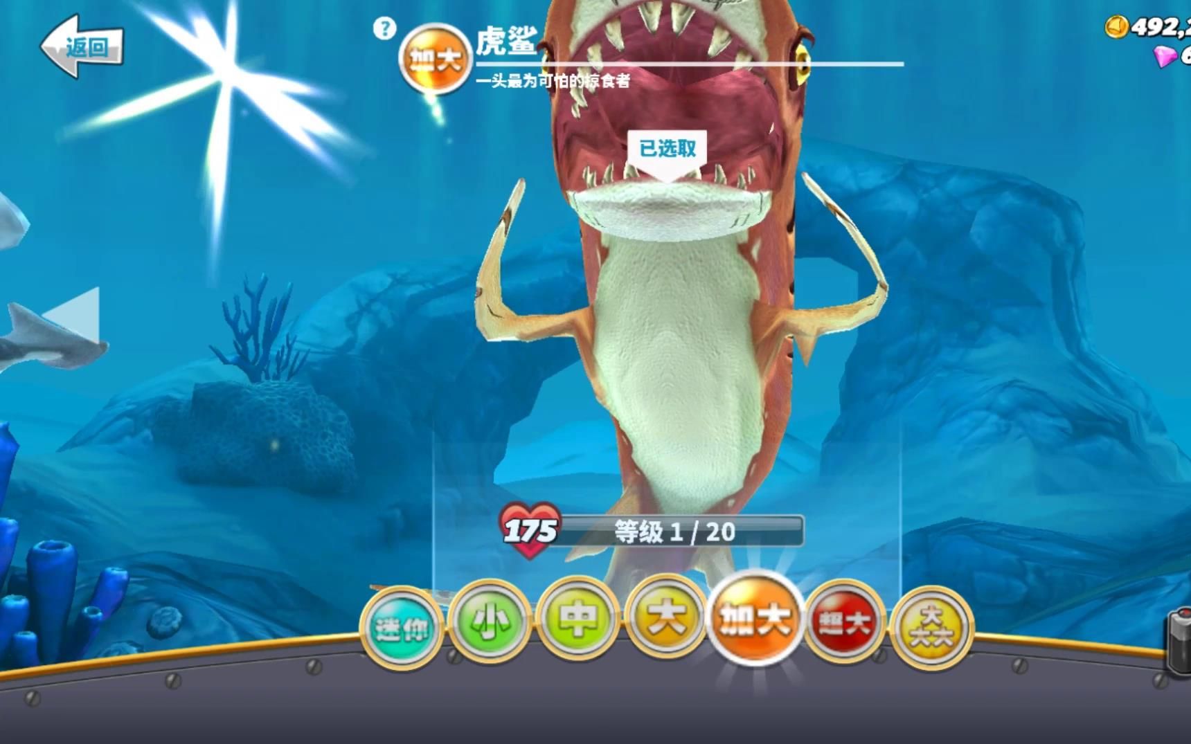 饥饿鲨世界:500钻石解锁虎鲨,它是海洋中最可怕的掠食者!