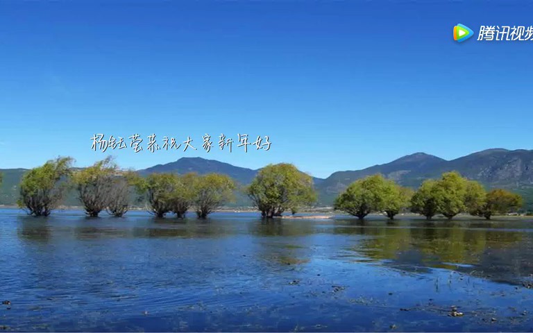 [图]杨钰莹《恭祝大家新年好》，真好听