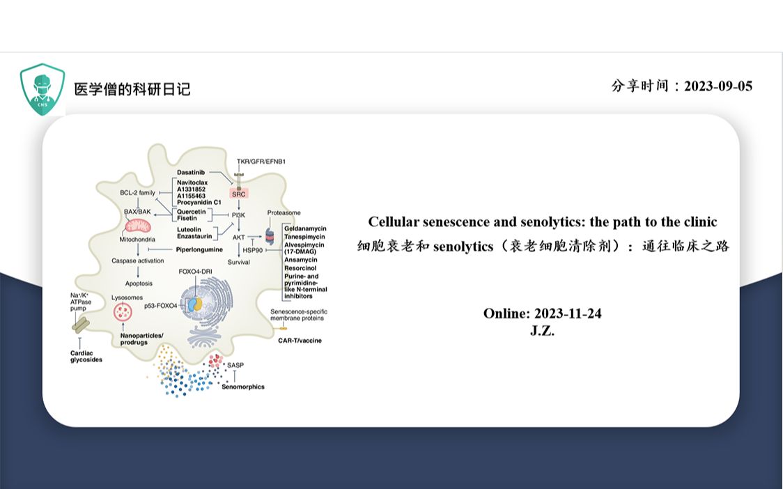 细胞衰老和 senolvtics (衰老细胞清除剂): 通往临床之路哔哩哔哩bilibili