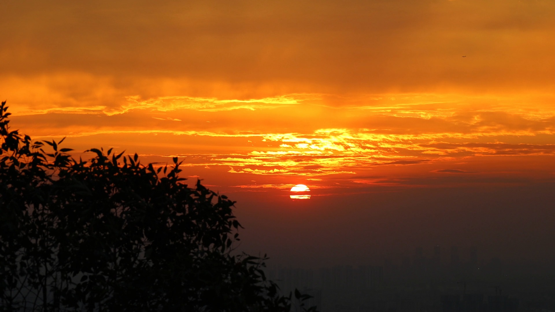 "日落是太阳给的的留言" 4k视频