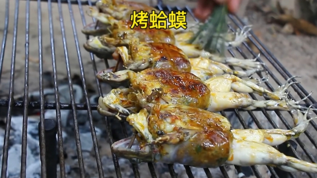 越南美食之烤蛤蟆