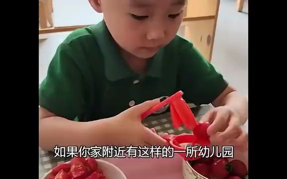 全网唯一一家幼儿园“技术学院”,上学就是上岗,大班毕业就可以就业!哔哩哔哩bilibili