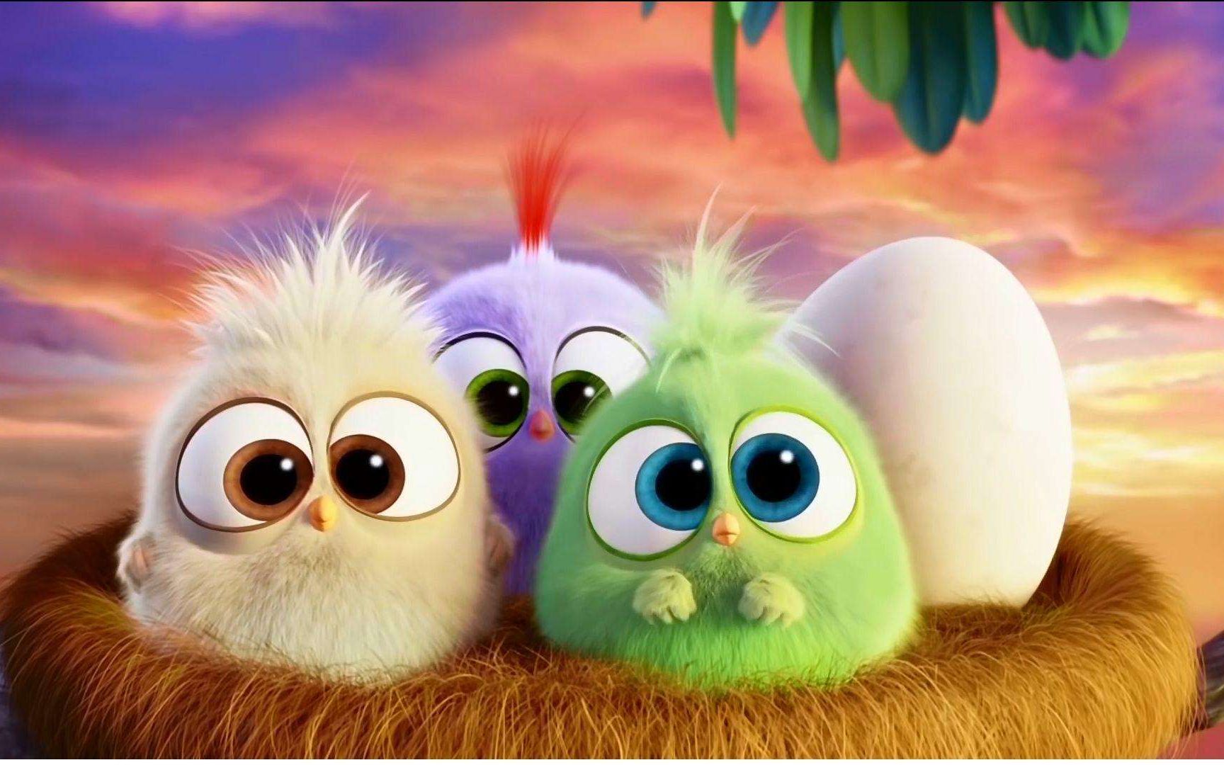 2019最新动画电影愤怒的小鸟2_哔哩哔哩 (゜-゜)つロ 干杯~-bilibili