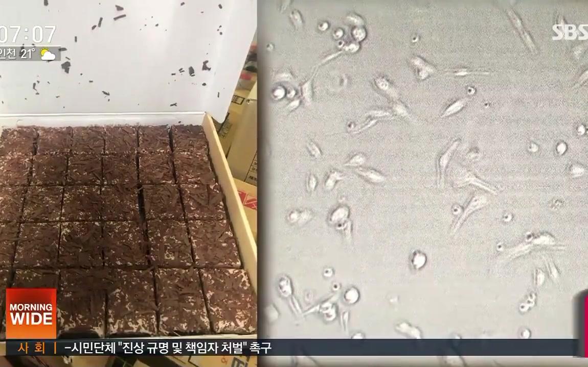 韩国各地学校上千学生食物中毒 吃了同一品牌蛋糕哔哩哔哩bilibili