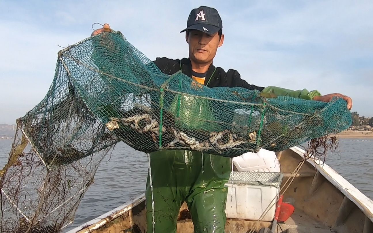 外海海货太多了,馒头放的地笼都爆笼了,值钱海货抓了一堆又一堆哔哩哔哩bilibili