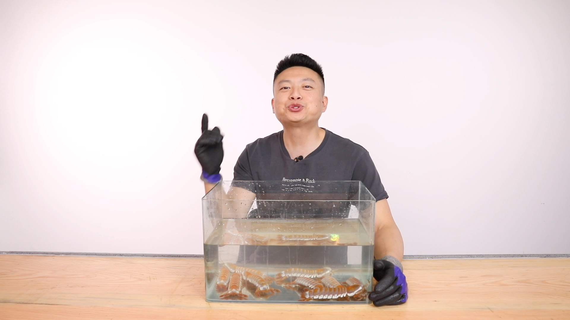 橙色稀有皮皮虾韩氏芳虾蛄