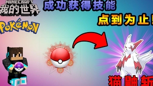 我的世界神奇宝贝生存14 小和尚抓到第一只宝可梦 他就是猫鼬斩 哔哩哔哩 つロ干杯 Bilibili