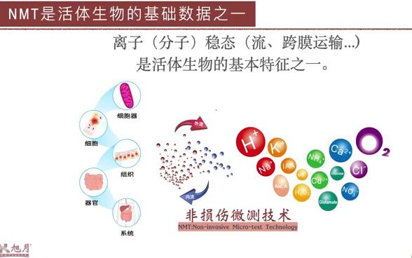 活体功能组学03为什么要研究组学?哔哩哔哩bilibili