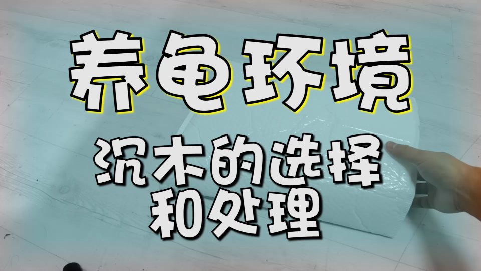 养龟环境里的沉木选择和处理哔哩哔哩bilibili