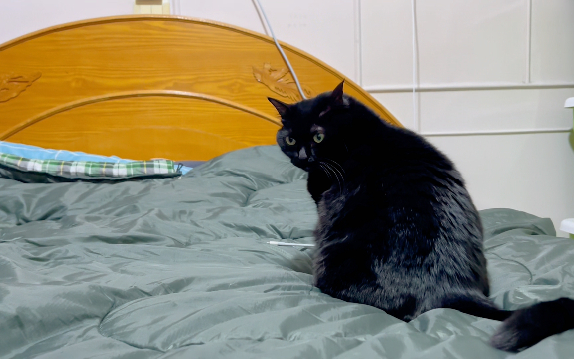 黑仔看起来有些意外