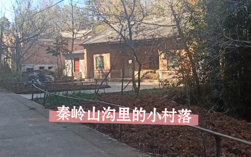 [图]秦岭探村，小山沟里的村落，原生态的秦岭山村秘境风光