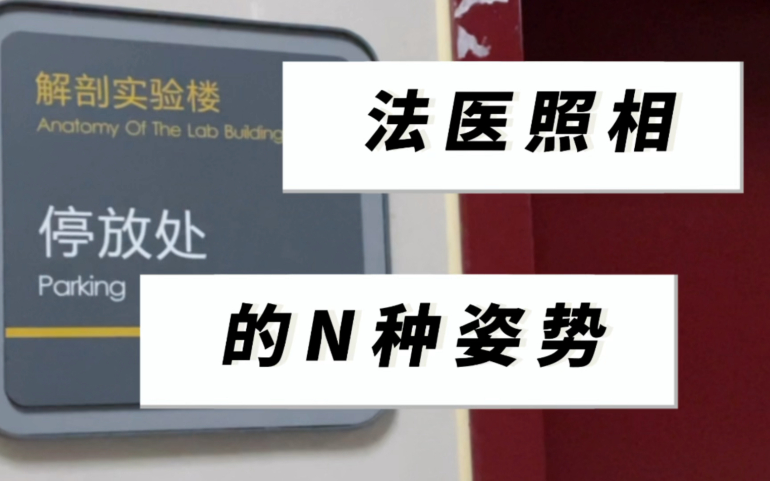 不一样的法医检验.法医提醒:不超速、不超载,安全第一.哔哩哔哩bilibili