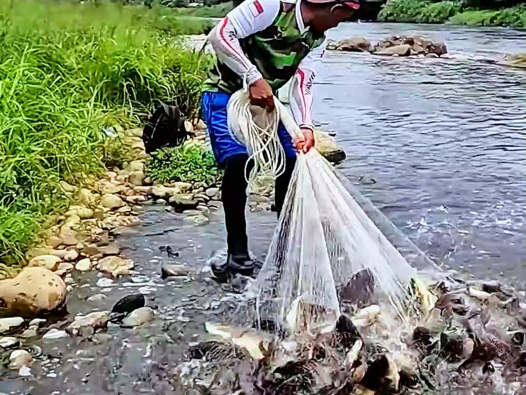 不可思议(不可思议微生物研究所)