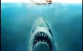 [图]电影 大白鲨 原声音乐 Jaws soundtrack