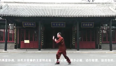 [图]刘树春先生演练孙氏太极拳形意拳八卦拳(公