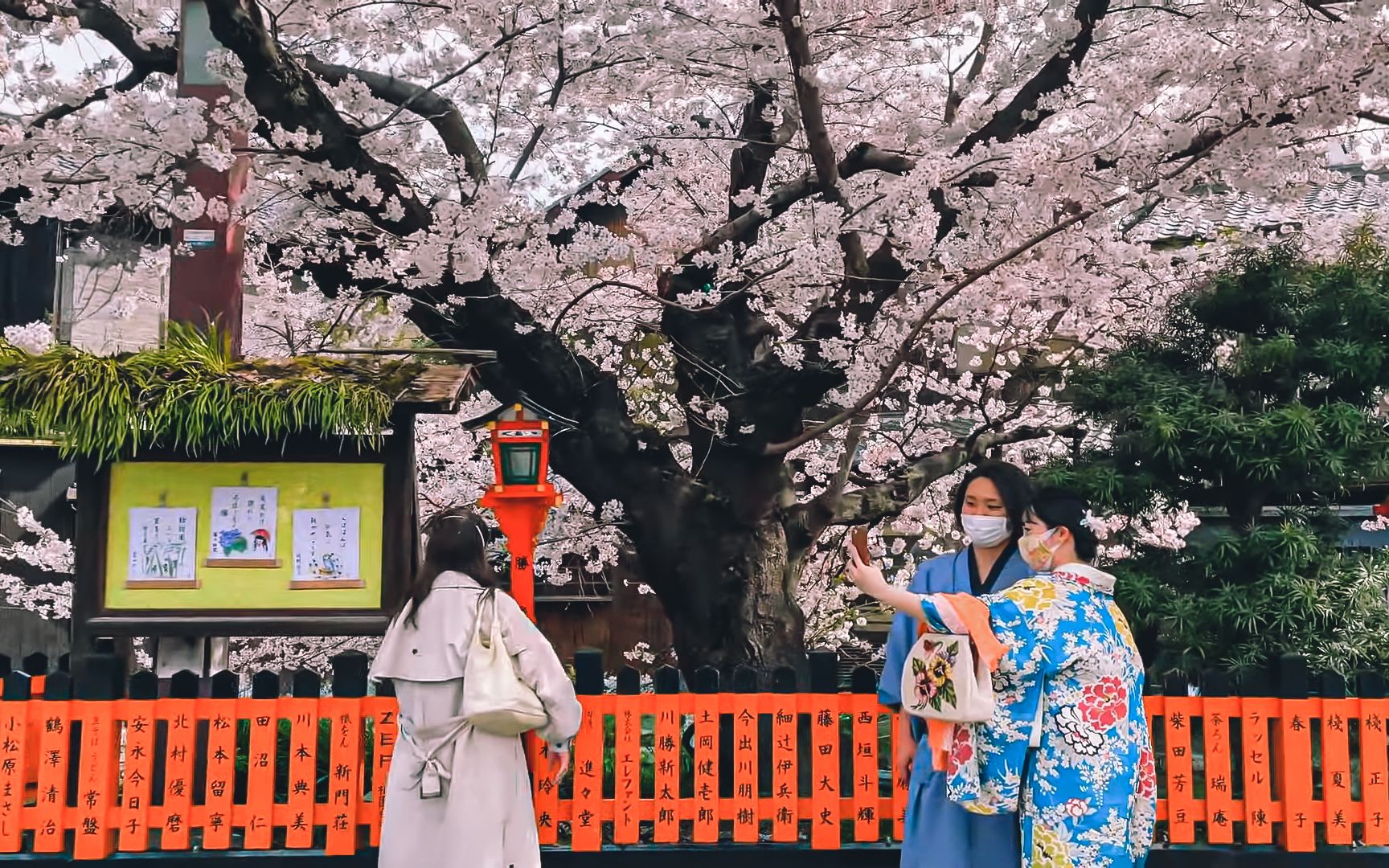 [图]【FHD/60搬运】22.4.6 漫步在樱花盛开的京都（蹴上インクライン、祇園、南禅寺）