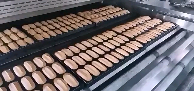 博达热销推荐比例式恒温燃气食品隧道烤炉,饼干隧道炉,烘焙设备