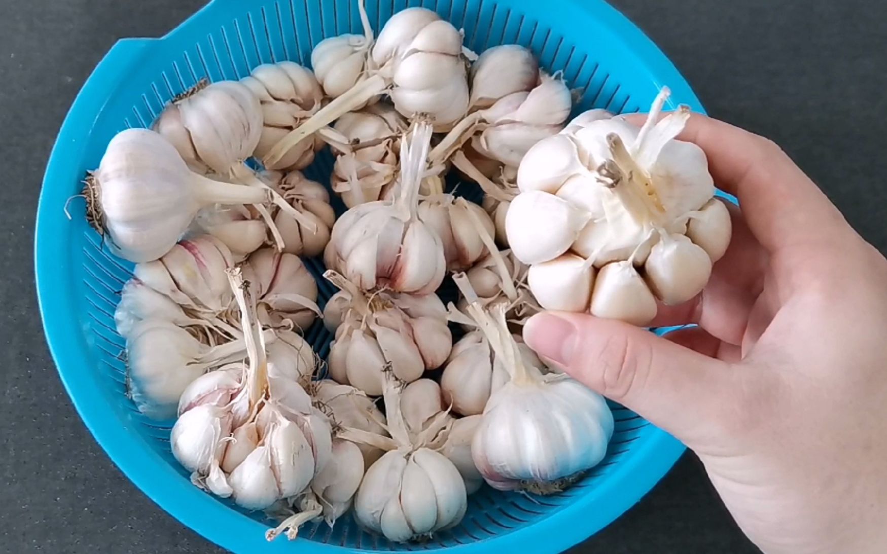 剥大蒜别再用手扒,教你个饭店常用的方法,快速去皮不费劲,厉害
