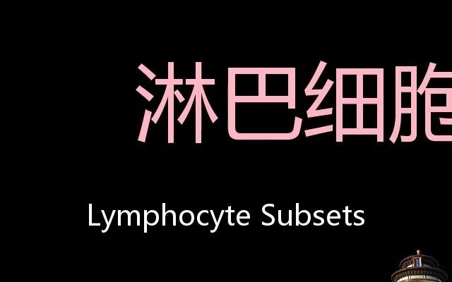 淋巴细胞亚群 Chinese Pronunciation Lymphocyte subsets哔哩哔哩bilibili