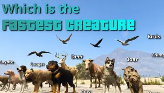 Gta5 谁是gta5最厉害的动物 哔哩哔哩 Bilibili