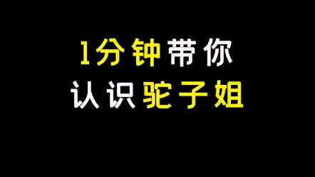 一分钟带你认识驼子姐哔哩哔哩bilibili