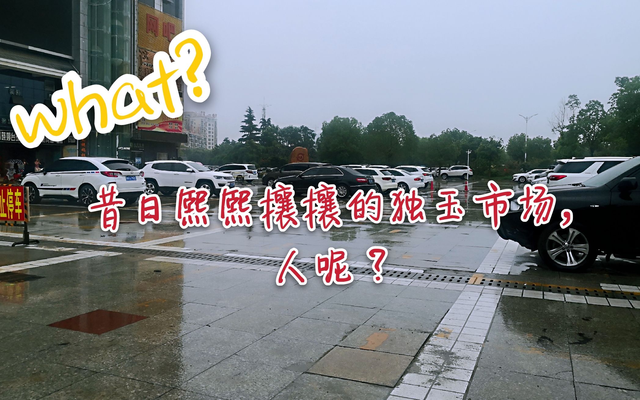 活动作品想看南阳独山玉吗起个大早赶个晚集还有比我更悲催的吗