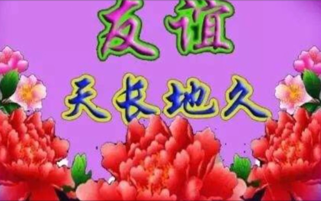 《友谊天长地久》小提琴:陈康